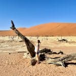 Voyageuse African Explorer devant les arbres morts de Deadvlei en Namibie avec dunes orangées